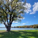 27 																																																																																											
Early Autumn on Owasco Lake	Suzanne Robison																																																																																																																		Cayuga