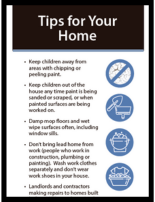 Lead Tips for Your Home