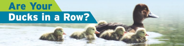 Get Your Ducks In A Row | WCNY