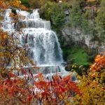 18 																																																																																											
Fall Waterfall																																																																																																																																																																	Kelly Mercurio-Bianco																																																																																																																	Madison