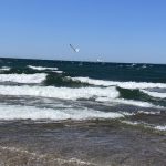 4 																																																																																											
Wild, Windy, Wavy Lake Ontario																																																																																																																									Amanda Fenlon																																																																																	Jefferson