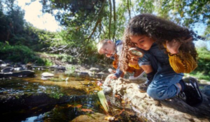 Creature Power! How Outdoor Play Helps Kids Explore and Discover Like Wild Kratts